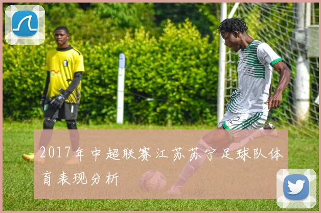 2017年中超联赛江苏苏宁足球队体育表现分析