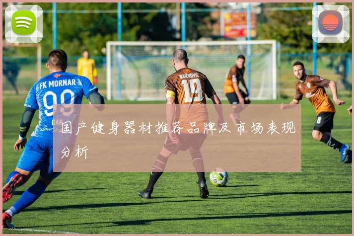 国产健身器材推荐品牌及市场表现分析