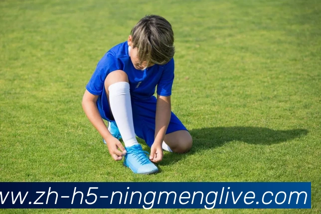 柠檬直播平台生态图